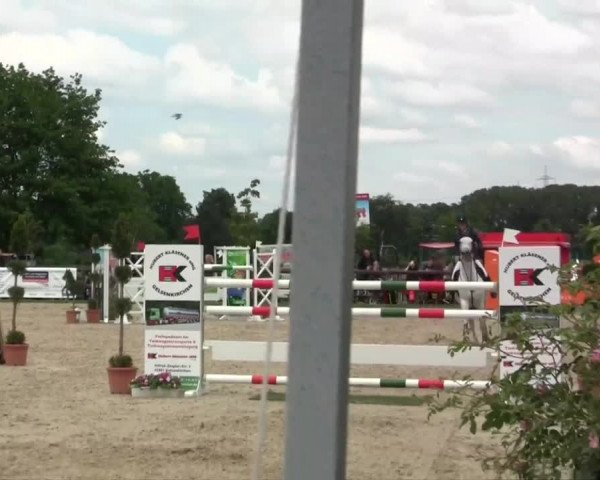 Großes Reit- und Springturnier Kirchhellen/Stall Dieckmann 2014