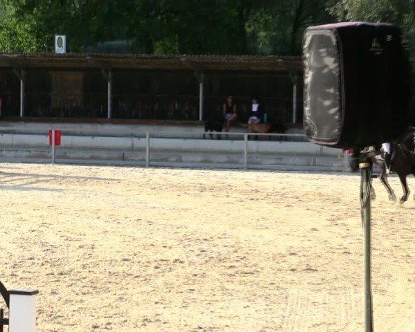 Reitturnier Ingolstadt-Hagau/Obb. 2025