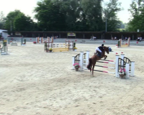 Reitturnier Ingolstadt-Hagau/Obb. 2025