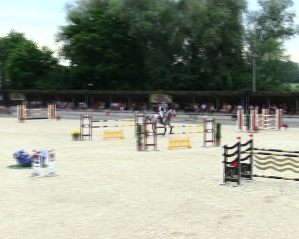 Reitturnier Ingolstadt-Hagau/Obb. 2025