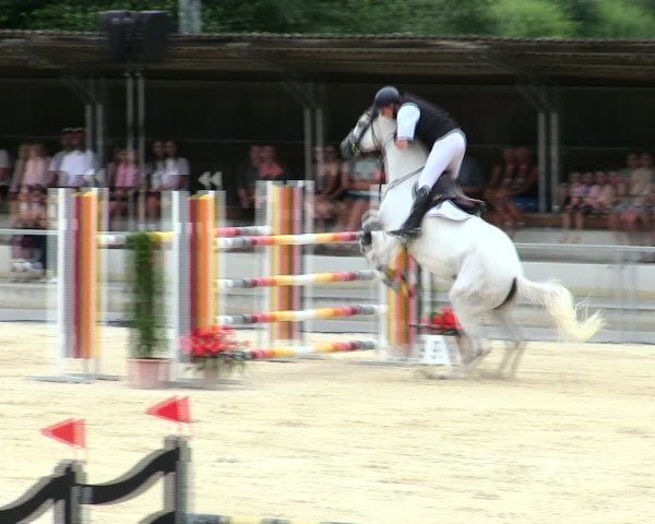 Reitturnier Ingolstadt-Hagau/Obb. 2025