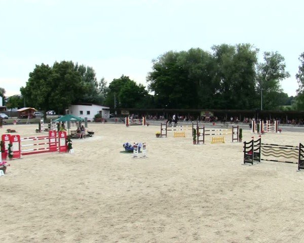 Reitturnier Ingolstadt-Hagau/Obb. 2025