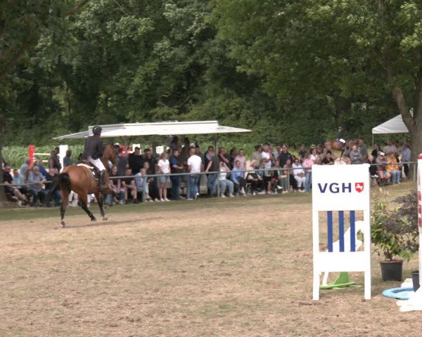 Reitturnier Wohlesbostel 2025