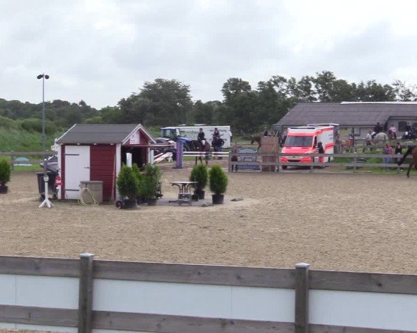 Reitturnier Niebüll 2025