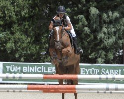 jumper Lexi (KWPN (Royal Dutch Sporthorse), 2016, from F One Usa)