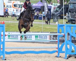 jumper Topaz Ice Z (Zangersheide riding horse, 2017, from Toulon)