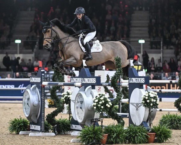 Springpferd Kimosa van het Kritrahof (Belgisches Warmblut, 2010, von Chatman)