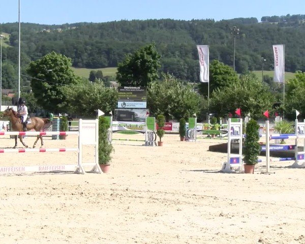 Reitturnier Balsthal 2025