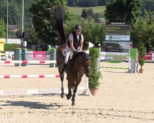 Reitturnier Balsthal 2025