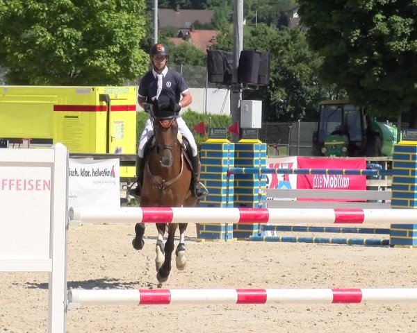 Reitturnier Balsthal 2025