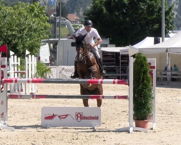 Reitturnier Balsthal 2025