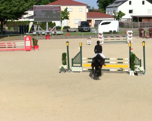 Reitturnier Ingolstadt-Hagau/Obb. 2025