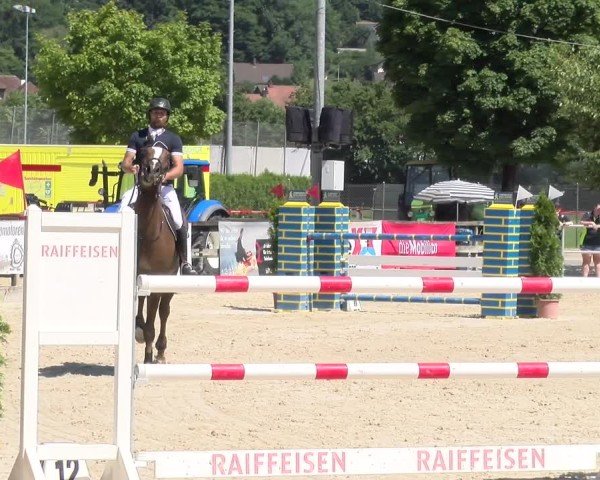 Reitturnier Balsthal 2025