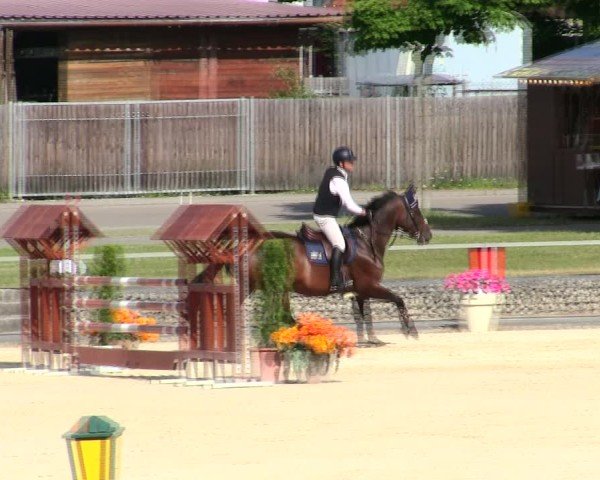 Reitturnier Ingolstadt-Hagau/Obb. 2025