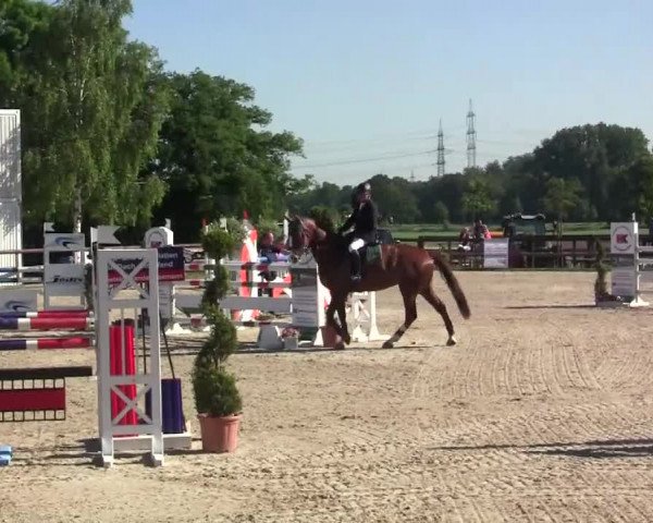 Großes Reit- und Springturnier Kirchhellen/Stall Dieckmann 2014