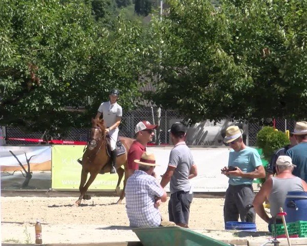 Reitturnier Balsthal 2025
