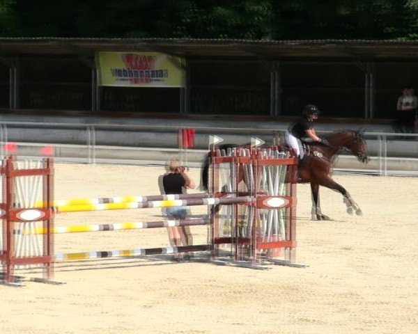 Reitturnier Ingolstadt-Hagau/Obb. 2025