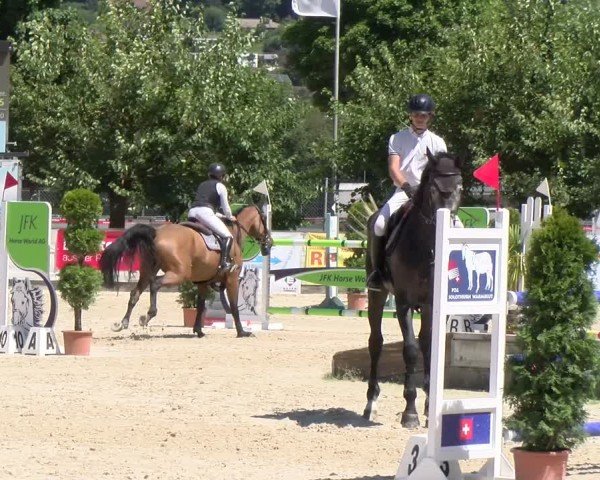 Reitturnier Balsthal 2025