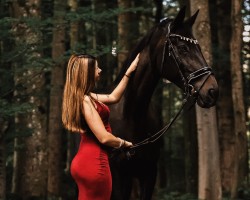 jumper Laguna (Hanoverian, 2006, from Lauries Crusador xx)