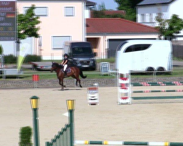 Reitturnier Ingolstadt-Hagau/Obb. 2025