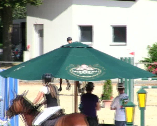 Reitturnier Ingolstadt-Hagau/Obb. 2025