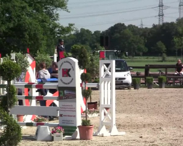 Großes Reit- und Springturnier Kirchhellen/Stall Dieckmann 2014