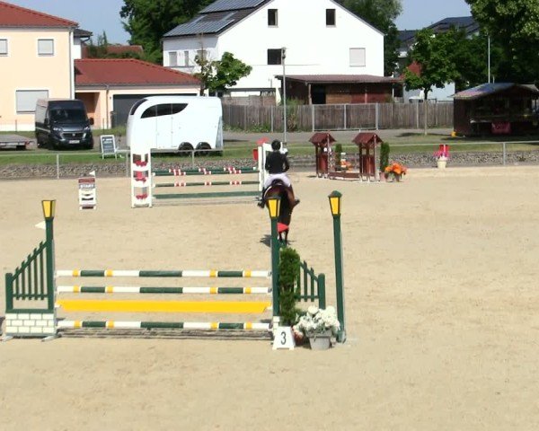 Reitturnier Ingolstadt-Hagau/Obb. 2025