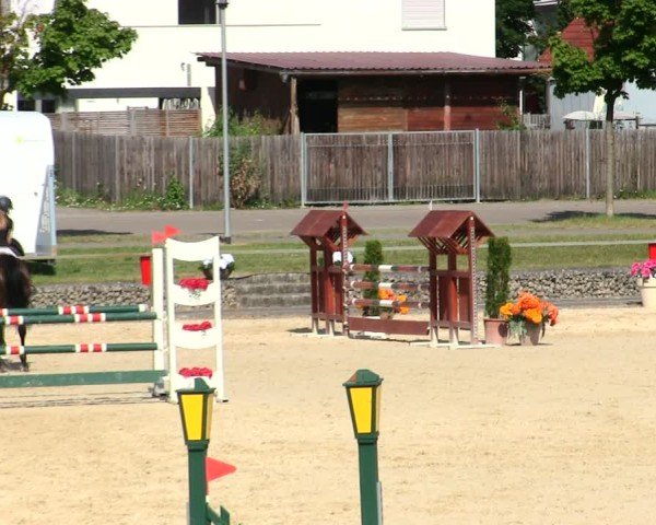 Reitturnier Ingolstadt-Hagau/Obb. 2025