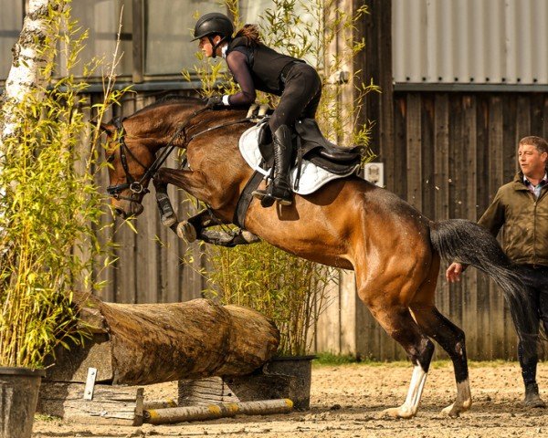 jumper Miss Erna (Rhinelander, 2019, from Origi D'o)