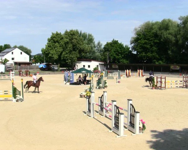Reitturnier Ingolstadt-Hagau/Obb. 2025