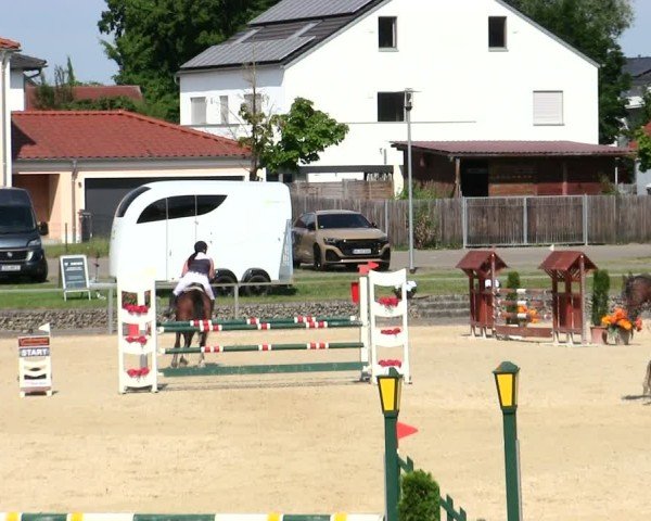 Reitturnier Ingolstadt-Hagau/Obb. 2025