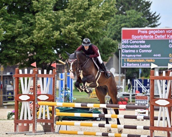 horse Concrete (Holsteiner, 2021, from Clarimo Ask)