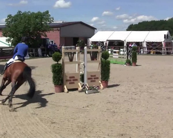 Großes Reit- und Springturnier Kirchhellen/Stall Dieckmann 2014