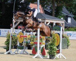 jumper Colourado (Hanoverian, 2019, from Cabrio van de Heffinck)