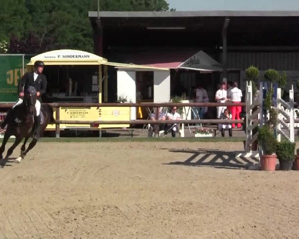 Großes Reit- und Springturnier Kirchhellen/Stall Dieckmann 2014