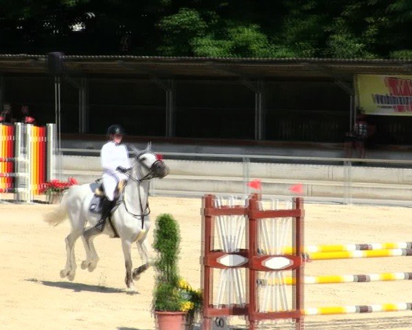 Reitturnier Ingolstadt-Hagau/Obb. 2025