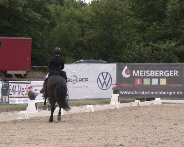 Reitturnier Heiligenwald 2025