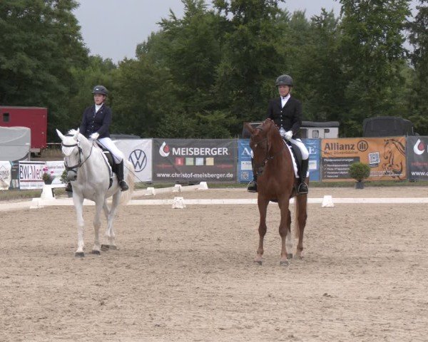 Reitturnier Heiligenwald 2025