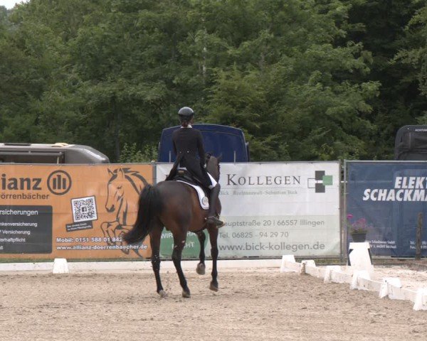 Reitturnier Heiligenwald 2025