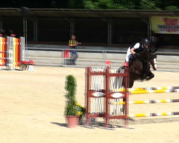Reitturnier Ingolstadt-Hagau/Obb. 2025