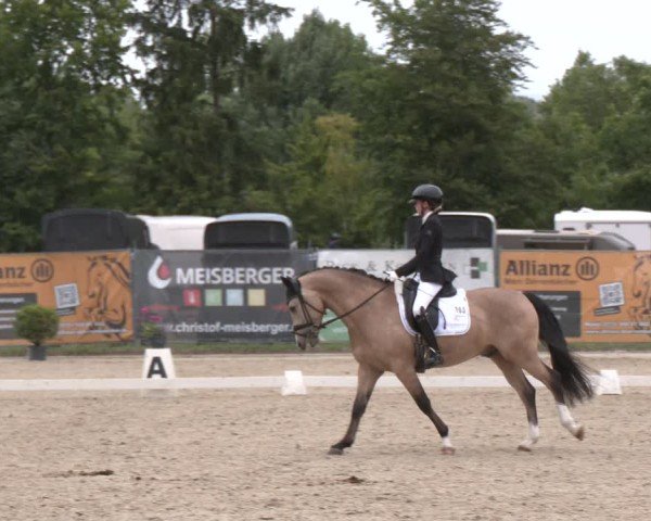 Reitturnier Heiligenwald 2025