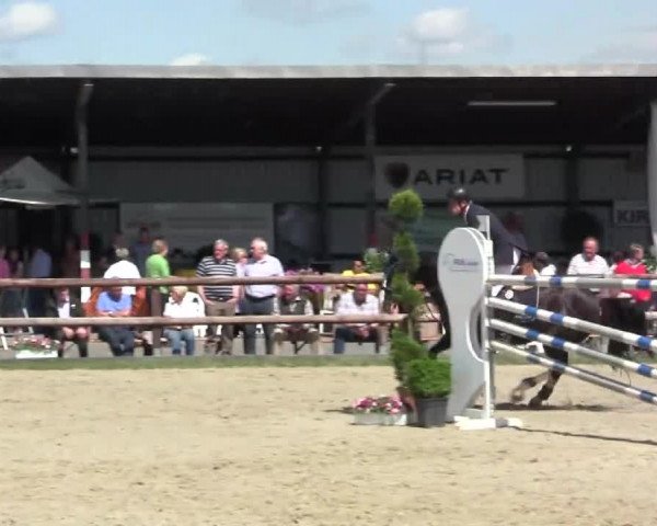 Großes Reit- und Springturnier Kirchhellen/Stall Dieckmann 2014