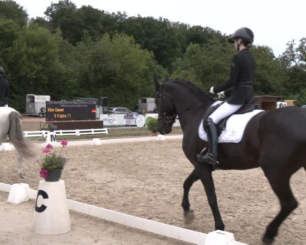Reitturnier Heiligenwald 2025