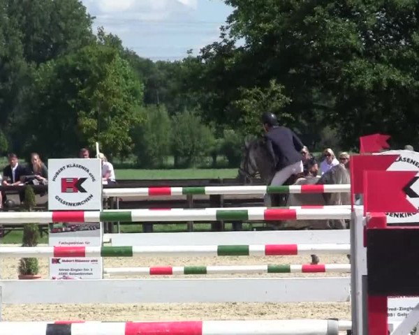 Großes Reit- und Springturnier Kirchhellen/Stall Dieckmann 2014