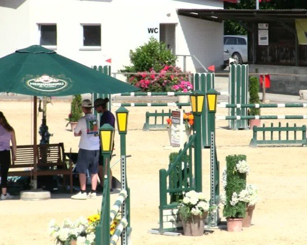 Reitturnier Ingolstadt-Hagau/Obb. 2025