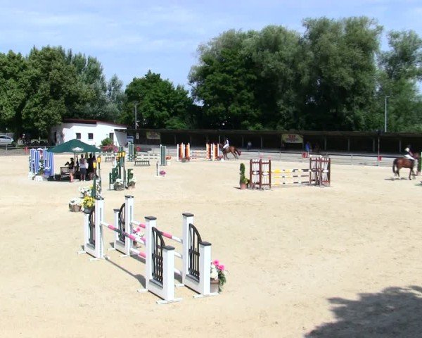 Reitturnier Ingolstadt-Hagau/Obb. 2025