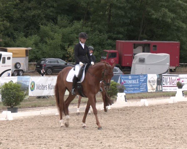Reitturnier Heiligenwald 2025