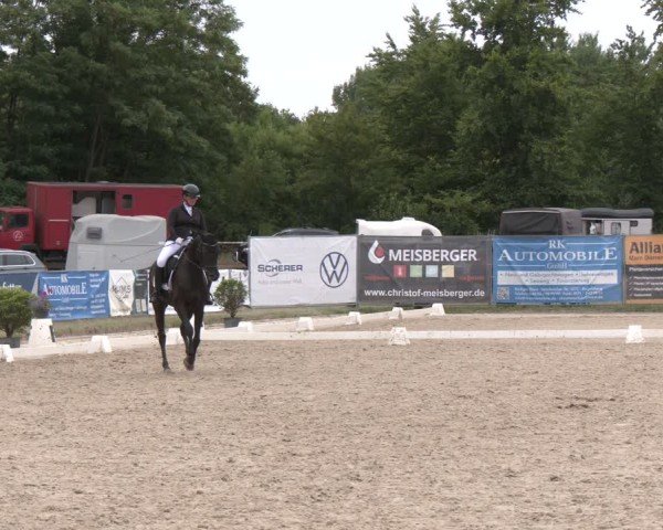 Reitturnier Heiligenwald 2025