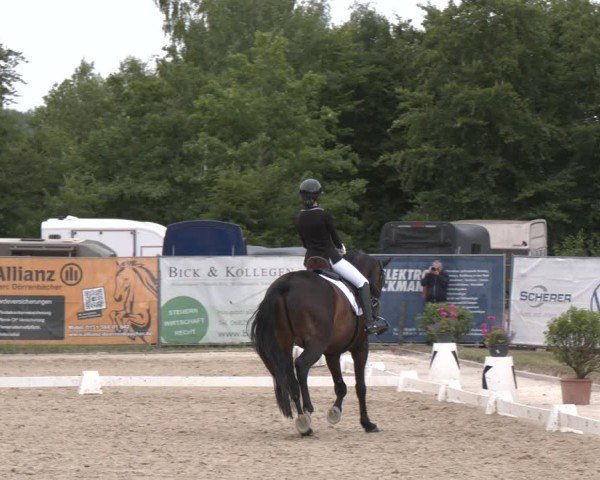 Reitturnier Heiligenwald 2025