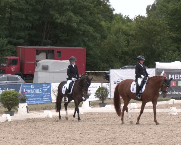 Reitturnier Heiligenwald 2025